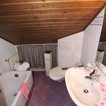 Värdshus Zur Muehle 3*