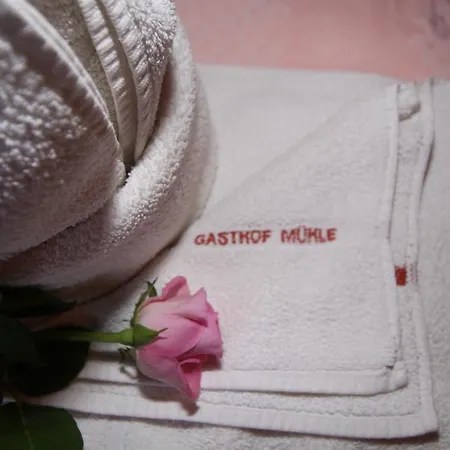 Zur Muehle Värdshus