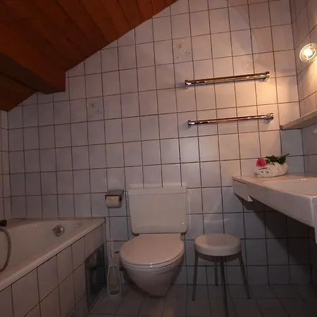 Gasthof Zur Muhle 3*