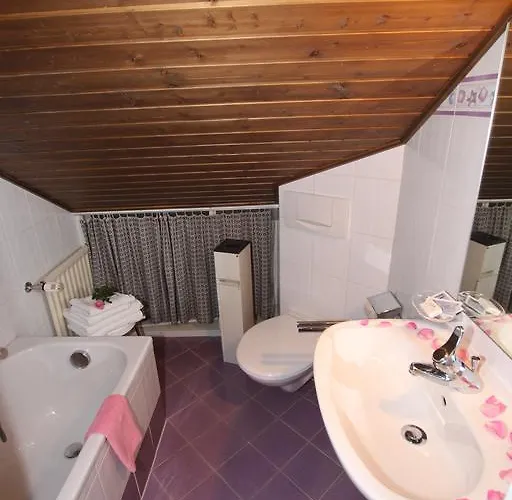 Penzion Zur Muehle 3*