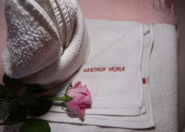 Zur Muehle بيت ريفي